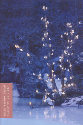 2012 BWR Volume 39.1 Fall/Winter