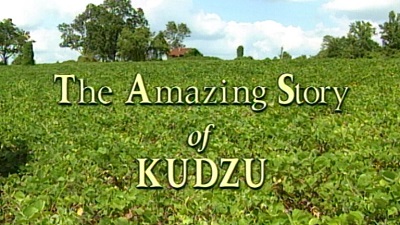 THE AMAZING STORY OF KUDZU